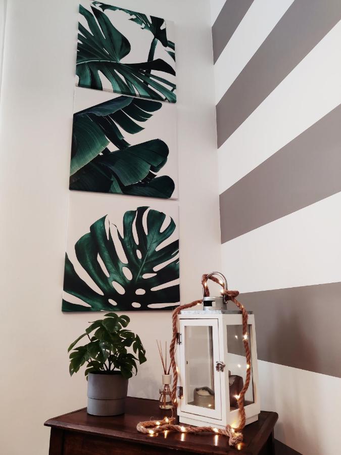 Modern Flat With Panoramic Terrace In Zuccarello Appartement Buitenkant foto